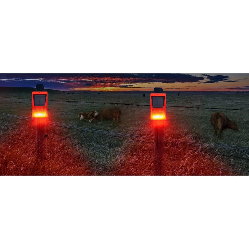 ضوء إنذار يعمل بالطاقة الشمسية - مراجعة Home Security Lights وسعره