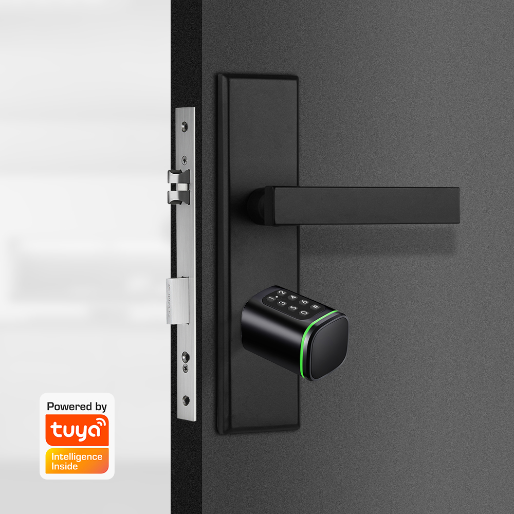 قفل اسطوانة ذكي تويا 60-90 ملل - مراجعة Home Security Essential وسعره